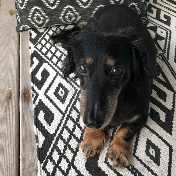 Profile Picture of Christa Daves (@christadaves) on Poshmark