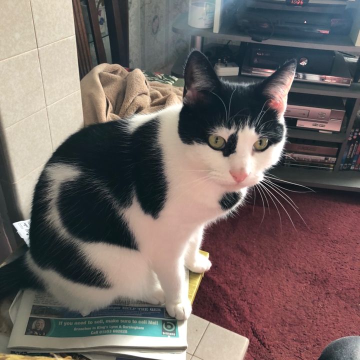 Profile Picture of Andrew Murkin125 (@andrewmurkin) on Tiktok