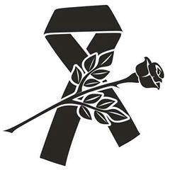 Profile Picture of Daniel Vejar (@danielvejar10) on Tiktok