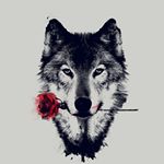 Profile Picture of Allison Lerman (@ally_lerman) on Instagram