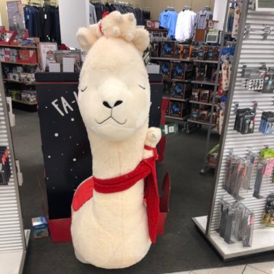Profile Picture of Tom Lama (@molta_lama) on Twitter