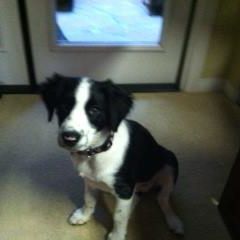 Profile Picture of Larry Arrasmith (@larry.arrasmith.3) on Facebook