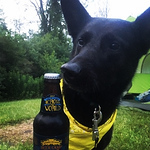 Profile Picture of Kate Jordan (@kathrynm.lee01) on Flickr