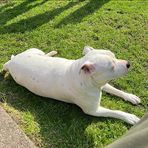 Profile Picture of John Snowdon (@john.snowdon2) on Facebook