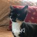 Profile Picture of Gina Hill Crabtree (@gina.h.crabtree) on Facebook