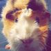 Profile Picture of Jakob Holzer (@jakob.holzer.754) on Facebook