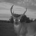 Profile Picture of Shawn Lloyd (@shawn.lloyd.50) on Facebook