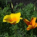 LUETKEMEYER - Instagram Profile Picture of LUETKEMEYER (@luetkemeyerble) on Instagram