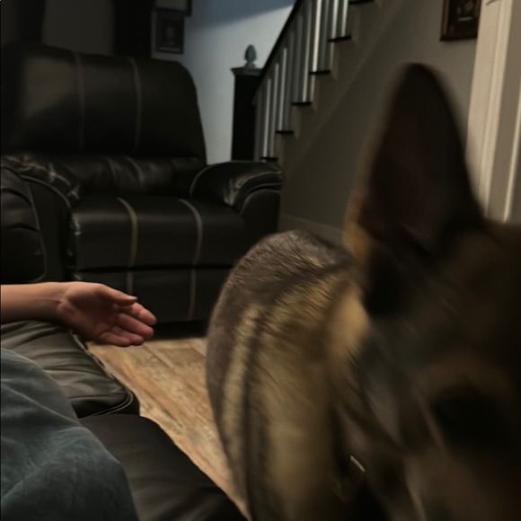 Profile Picture of Hilda Paul (@hilda_paul) on Poshmark