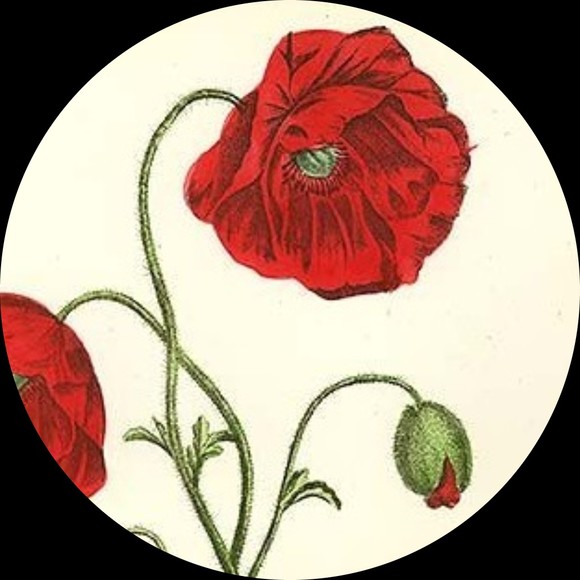 Amapola Taylor - Poshmark Profile Picture of Amapola Taylor (@pitayah) on Poshmark