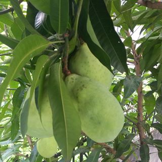 Profile Picture of Abie (@Abie) on Facebook