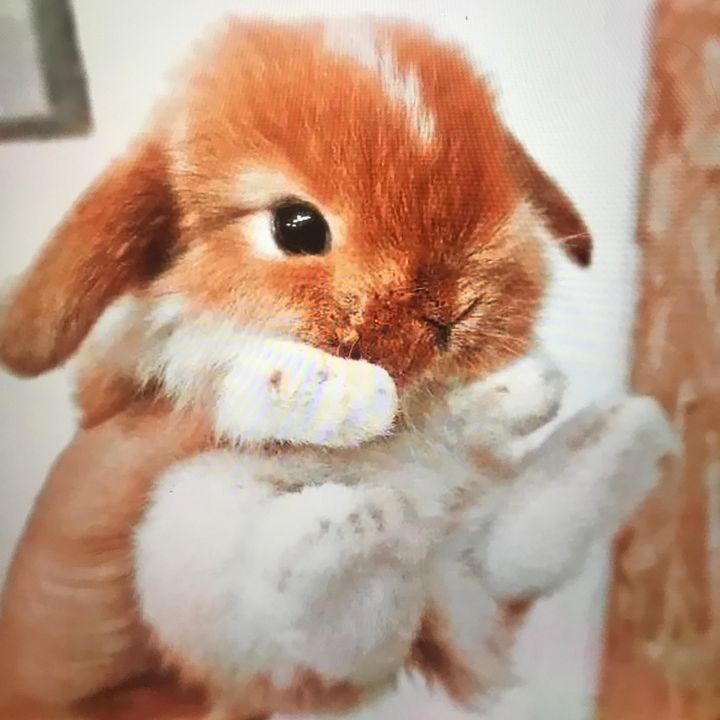 Profile Picture of GAIN TRAIN (@bennettstunes) on Tiktok