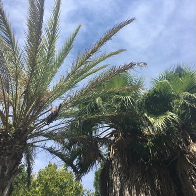 Profile Picture of KellySimms_ (@kelly_simms13) on Twitter