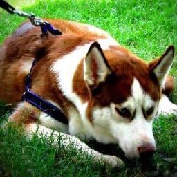 Profile Picture of Christy M. Robinion (@christyrobinion) on Twitter