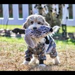 Profile Picture of NaNcY (@nancy.mccracken) on Instagram