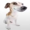 Profile Picture of Fletcher Boyd635 (@jojoandonepiecearegoats) on Tiktok
