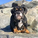 Profile Picture of Mark Monaghan (@therealgusclay) on Instagram