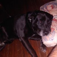 Profile Picture of Wilber Gonzalez (@wilber-gonzalez-12) on Quora