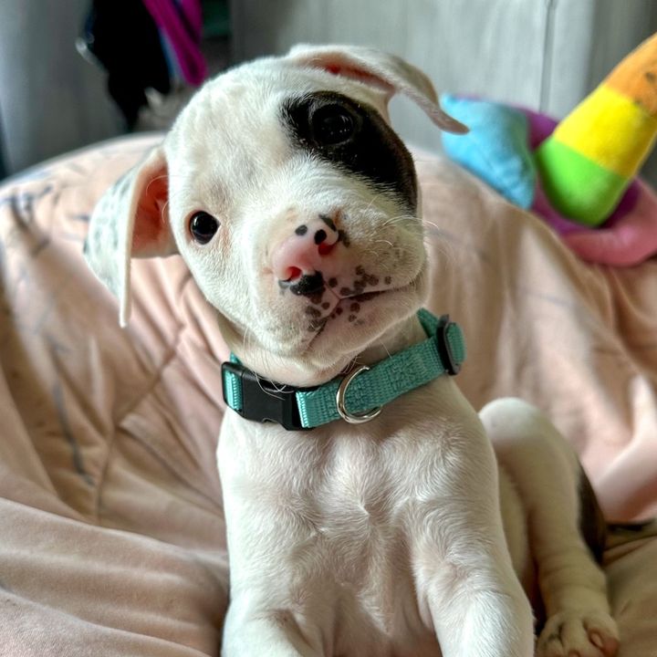 Profile Picture of walter_roonie (@walter_roonie) on Tiktok