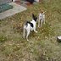 Profile Picture of Keith Speer (@keith-speer-3) on Quora