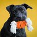 Profile Picture of James Nagler Jr. (@jamesnaglerjr) on Pinterest