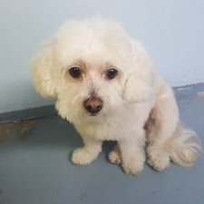 Profile Picture of Alex Quan (@alexquan9) on Twitter