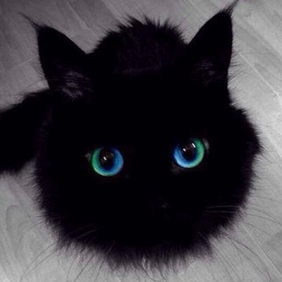 Profile Picture of Donna Ashley Drexler (@drexlerdonna226) on Twitter