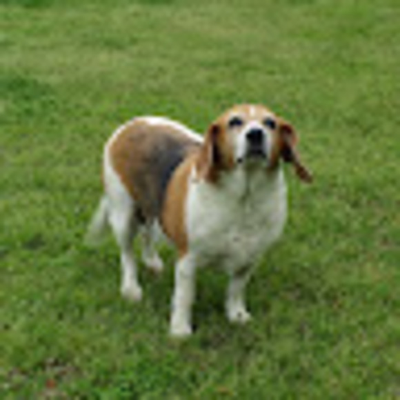 Profile Picture of Keith Burns (@dominator_2003) on Poshmark