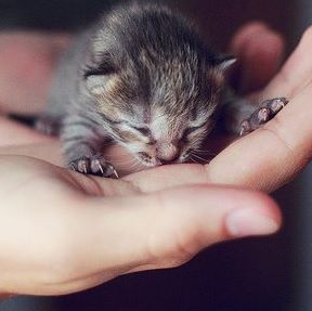 Profile Picture of Isobel Gilbert (@isobel.gilbert.75) on Facebook