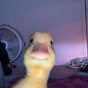 Profile Picture of Juan Mier (@juanmier2367) on Youtube