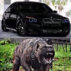 Profile Picture of Rainer Erich Wagner (@Rainer-Erich-Wagner) on Facebook