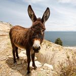 Profile Picture of James Butters (@j.a.butters) on Instagram