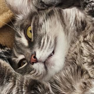 Profile Picture of Dylan Mahaffey (@dylan_mahaffey) on Instagram