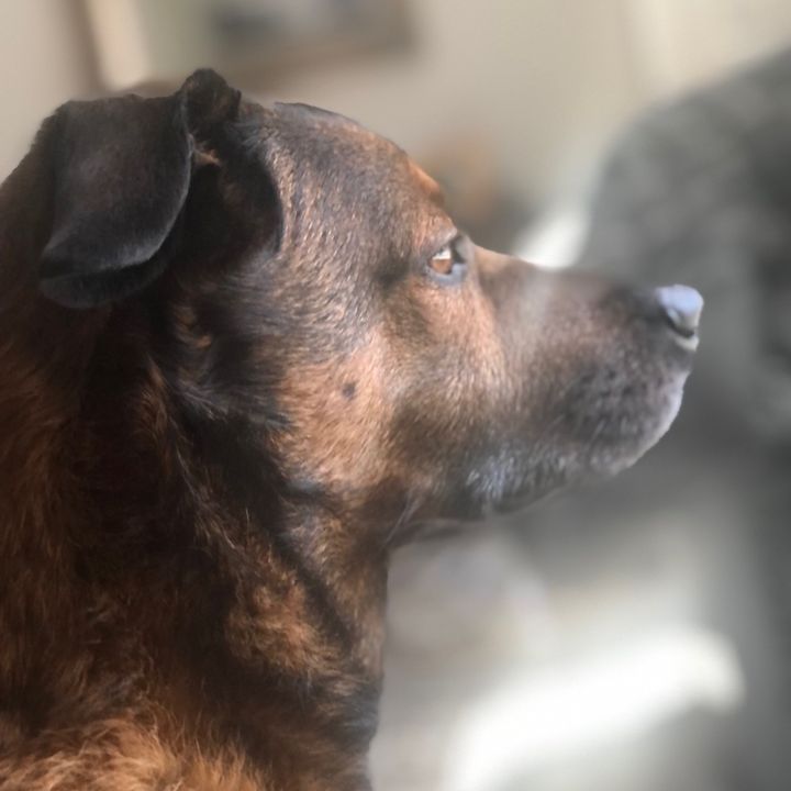 Profile Picture of B Weimer (@bweimer75) on Tiktok