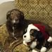 Profile Picture of Michael Grabman (@michael.grabman.7) on Facebook