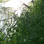 Profile Picture of Paul Petrini (@paulyudding69) on Instagram