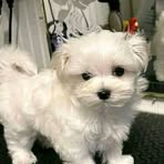 Profile Picture of Raymond Harper (@adewale.ajayi.9212) on Facebook