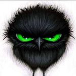 Profile Picture of Patrick Dormann (@dormannpatrick) on Instagram