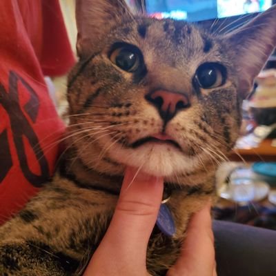 Profile Picture of Brandon Mattix (@bmat_prince) on Twitter
