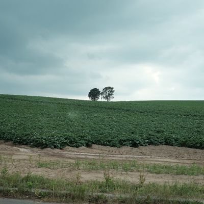 Profile Picture of Felix Tsang (@Felixtsang12) on Twitter