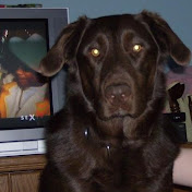 Profile Picture of Jess Fraser (@lechat2003) on Youtube