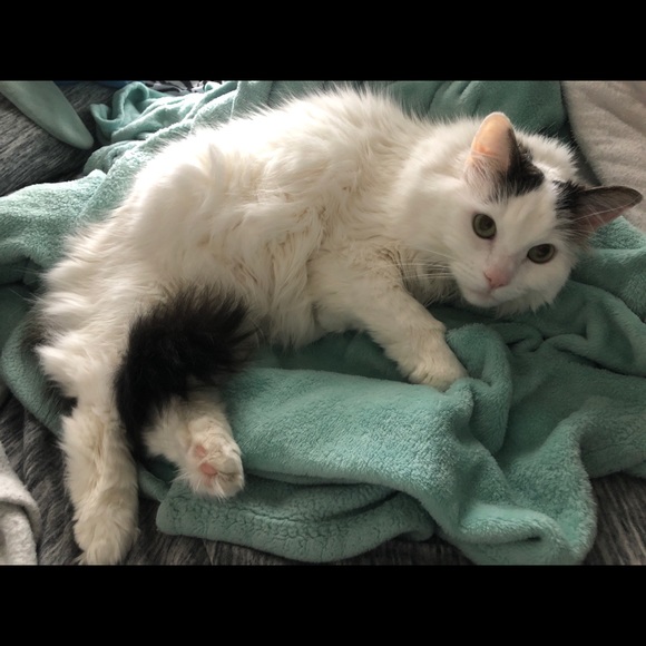 Profile Picture of Amanda Harrison (@harrisa9) on Poshmark