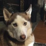 Profile Picture of Jennifer Conrad (@jolive1979) on Instagram