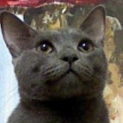 Profile Picture of Bora Yang (@BoraYang) on Twitter