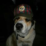 Profile Picture of Aaron Lindquist (@aaron.lindquist.370) on Instagram