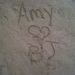 Profile Picture of Amy Nelson-Perkins (@amyperki) on Pinterest