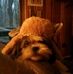 Profile Picture of Ken McCarty (@ken.mccarty.142) on Facebook