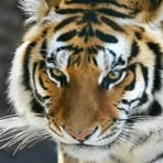 Profile Picture of Richard Clatworthy (@Richard-Clatworthy) on Facebook