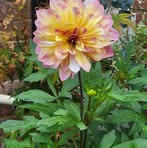 Profile Picture of Gwen Glennie (@gwen.glennie) on Facebook