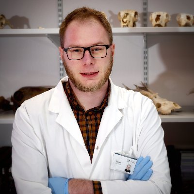 Profile Picture of Dr Mik Lisowski #SaveSheffieldArchaeology (@DrMickFoxski) on Twitter